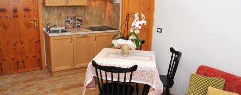 APARTMENT STELVIO (BORMIO)