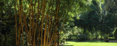 QUINTA DE BELA VISTA