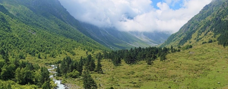 KAVKAZSKIE ZARISOVKI 5 (MASHUK)