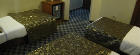 THE CITY HOTEL