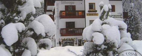 EDELWEISS (CAMPITELLO)